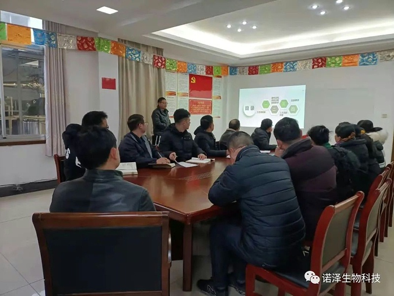 生发生发，万物生发