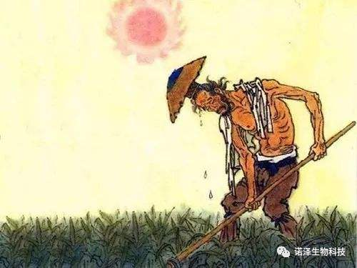 践行扫除，珍惜粮食！​