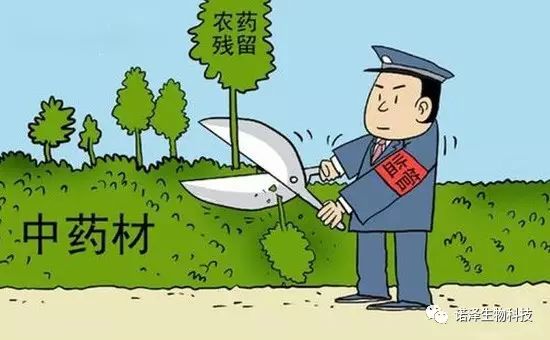 人参产品的基本知识•三