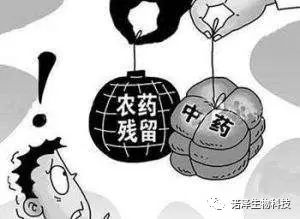 人参产品的基本知识•三