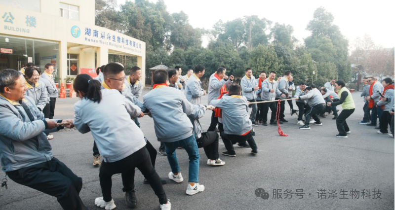 爱与感恩