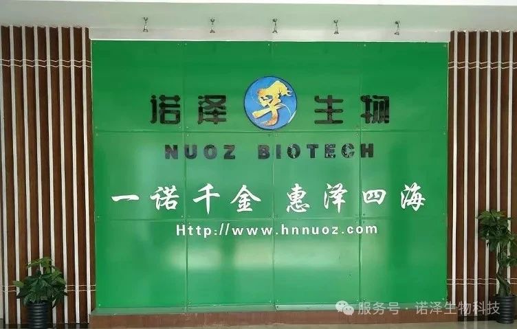 诺泽生物2024年度十大科技创新荣誉