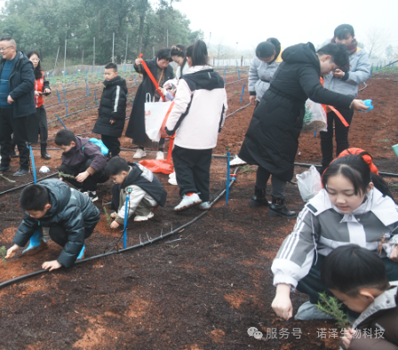 湖南诺泽生物芳香中药种植活动“给地球添绿，为世界增香”