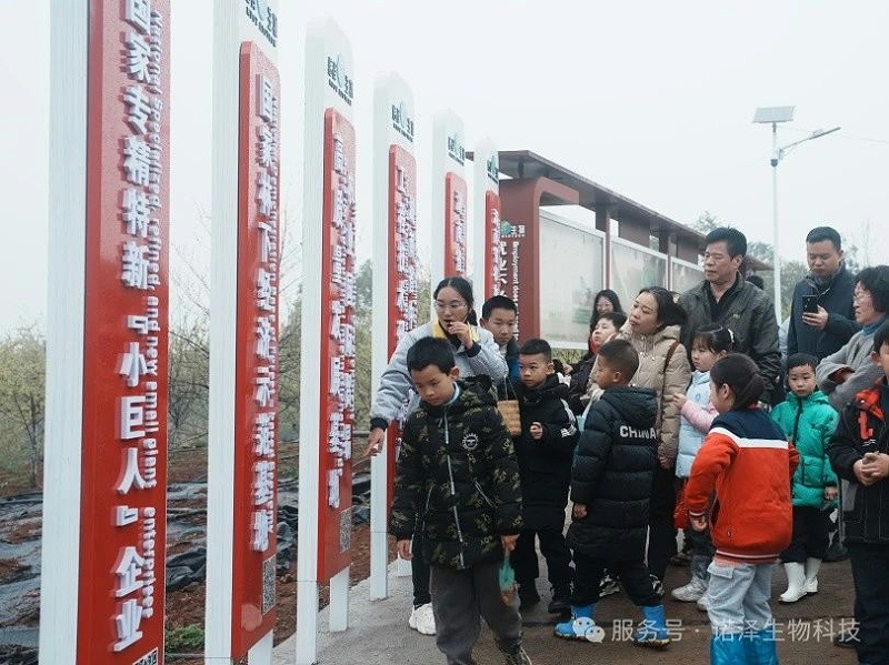 湖南诺泽生物芳香中药种植活动“给地球添绿，为世界增香”
