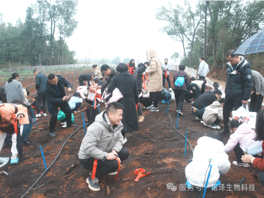 湖南诺泽生物芳香中药种植活动“给地球添绿，为世界增香”