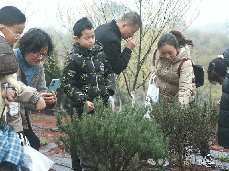 湖南诺泽生物芳香中药种植活动“给地球添绿，为世界增香”