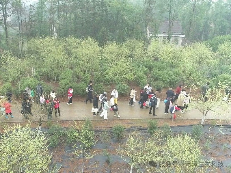 湖南诺泽生物芳香中药种植活动“给地球添绿，为世界增香”