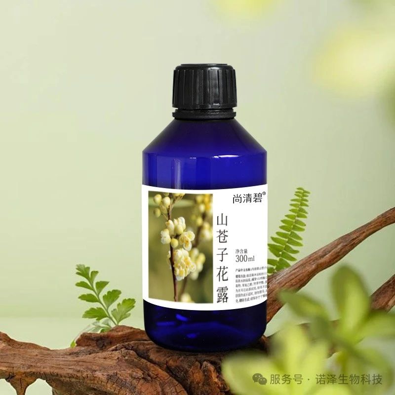 山苍子花的芳香之旅
