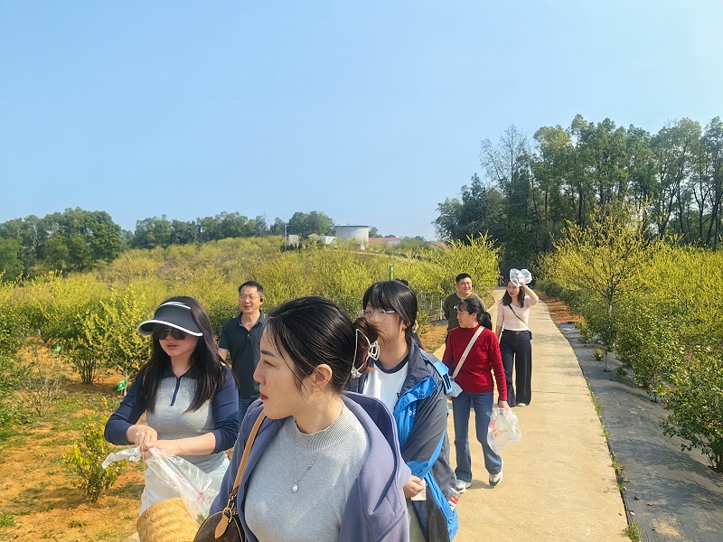 诺泽芳香中药种植园：现代农业与传统药材的完美结合