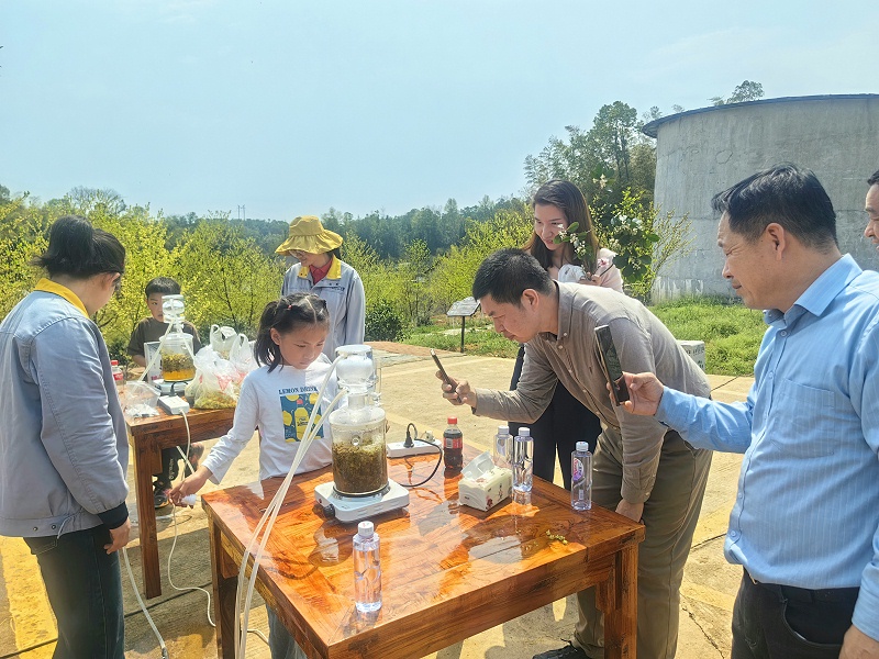 诺泽芳香中药种植园：现代农业与传统药材的完美结合