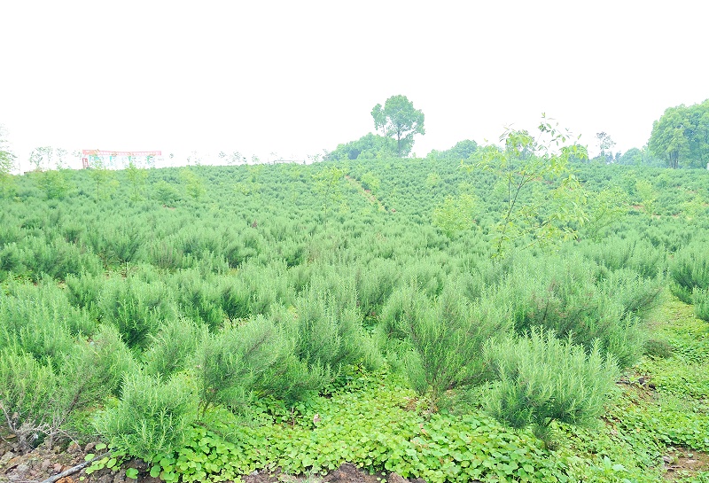 湖南诺泽生物参加2025第34届北京国际健康产业博览会丨收获满满