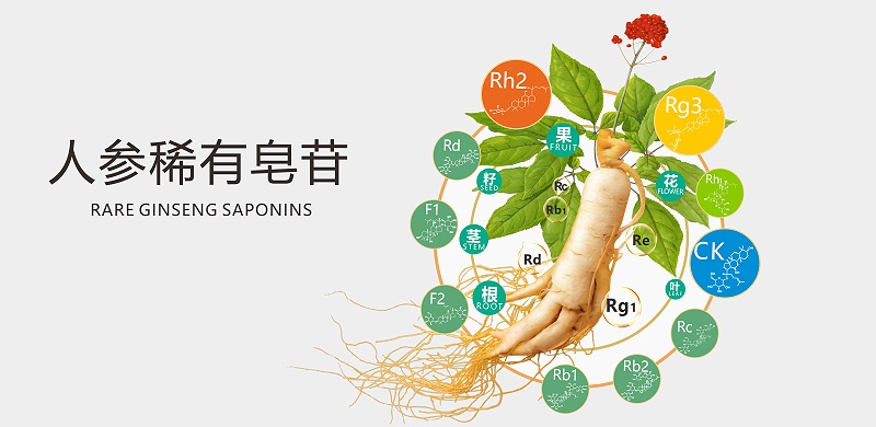 稀有皂苷为何珍贵？揭示其独特益处!