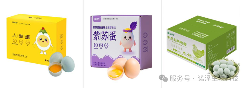湖南诺泽产业科创前沿 |全国紫苏产业科技发展大会圆满成功！