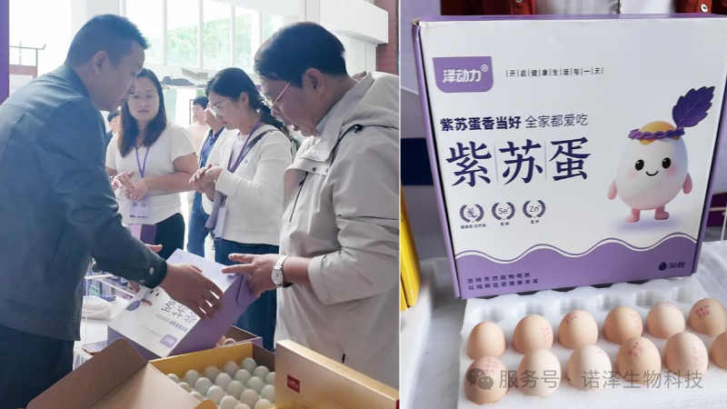 湖南诺泽产业科创前沿 |全国紫苏产业科技发展大会圆满成功！