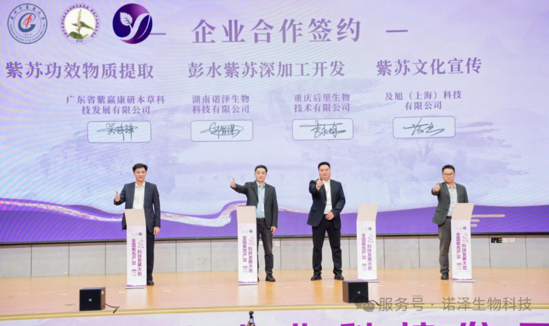 湖南诺泽产业科创前沿 |全国紫苏产业科技发展大会圆满成功！