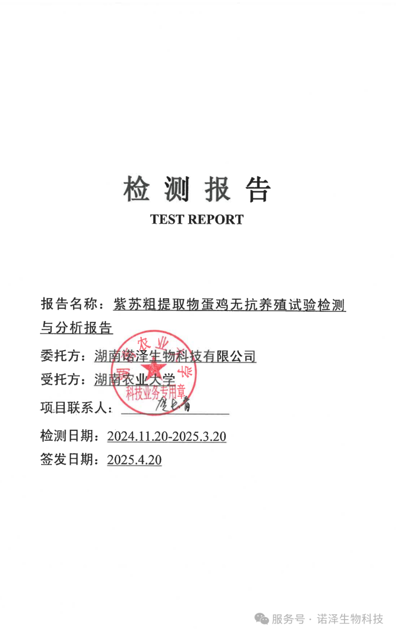 湖南诺泽产业科创前沿 |全国紫苏产业科技发展大会圆满成功！
