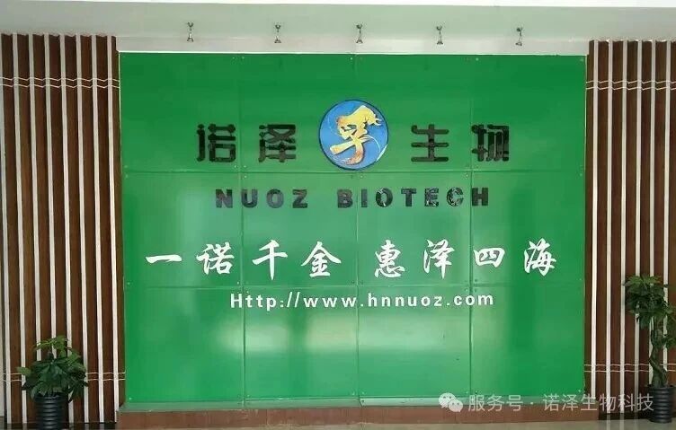 湖南诺泽生物第十届“创新增效，圆梦诺泽”创新大赛总决赛圆满收官