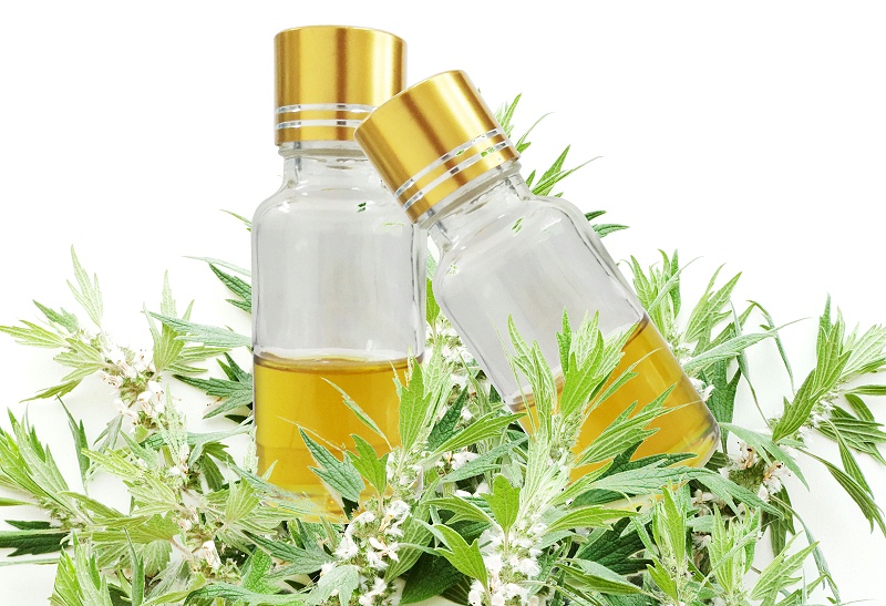 益母草精油对女性健康的好处有哪些?