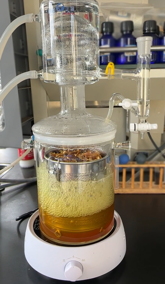 精油提取新法：水蒸汽蒸馏为何如此高效？