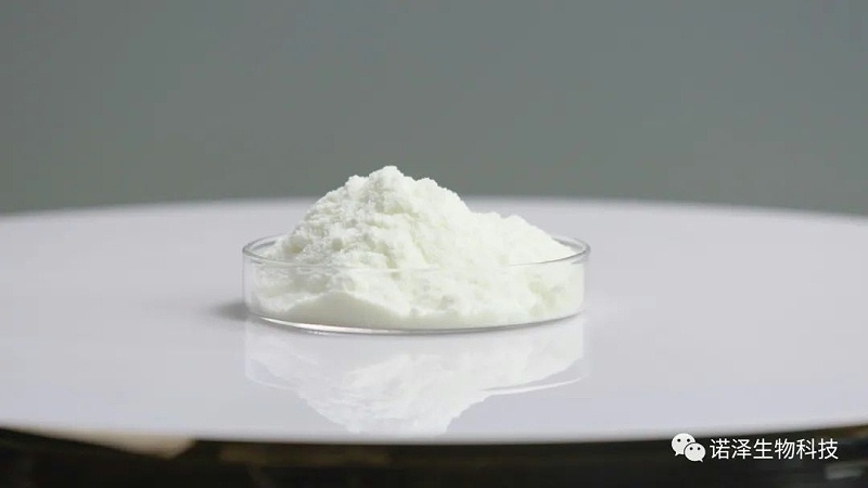 山苍子提取物的神奇功效是什么？