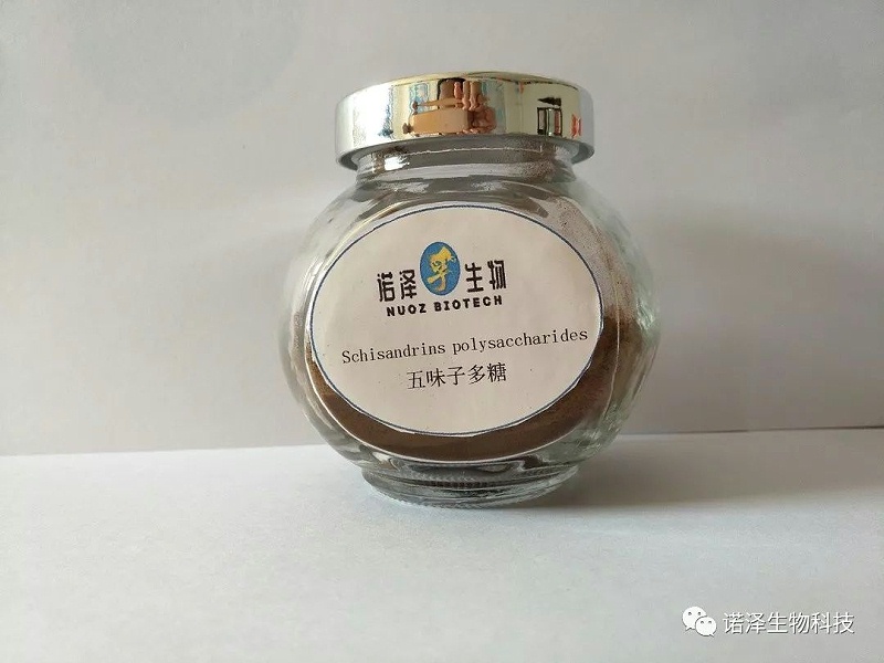 诺泽生物 带您探索“不一样”的五味子