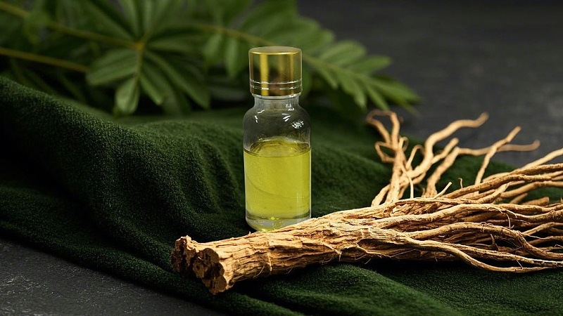 如何在家制作高质量的当归精油？
