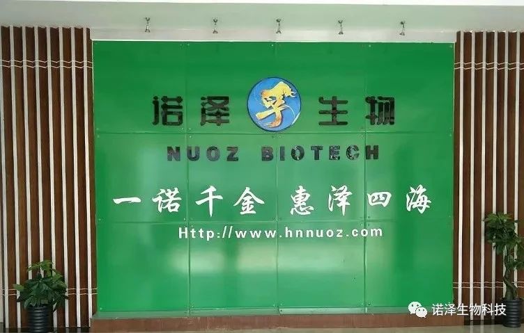 桂花净油与其他植物油护肤效果对比