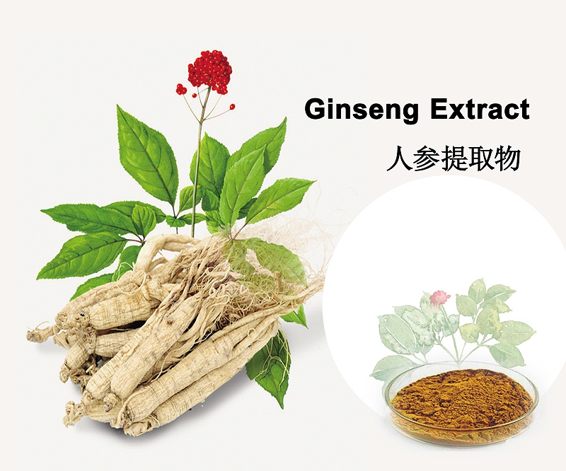 人参提取物为何如此受欢迎？揭秘背后真相