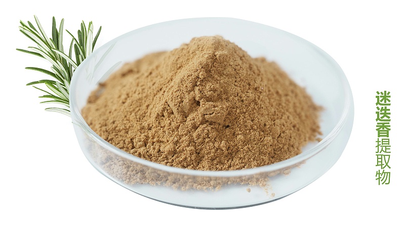迷迭香酸可以从那些植物中提取？全面解析