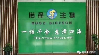 十大常吃蔬菜不可乱吃 赶紧告诉身边的人