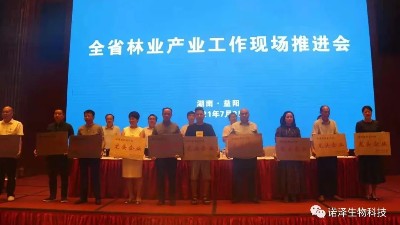 荣光！诺泽生物荣获“湖南省林业产业龙头企业”