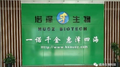 纯露护发真的有效吗？