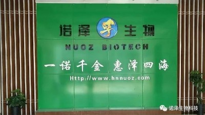 株株迷迭香，收获“丢丢”爱