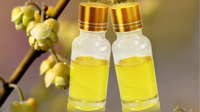 山苍子花精油有哪些独特功效？