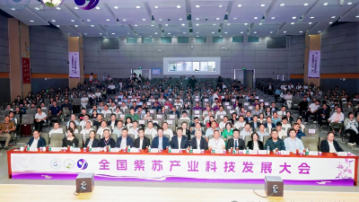 湖南诺泽产业科创前沿 |全国紫苏产业科技发展大会圆满成功！