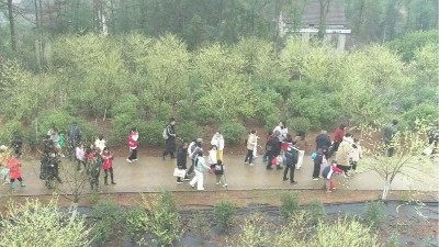 湖南诺泽生物芳香中药种植活动“给地球添绿，为世界增香”