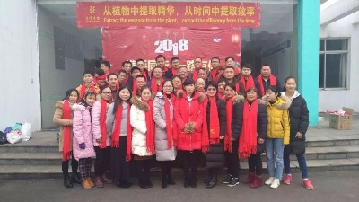 魅力诺泽，你知道吗？