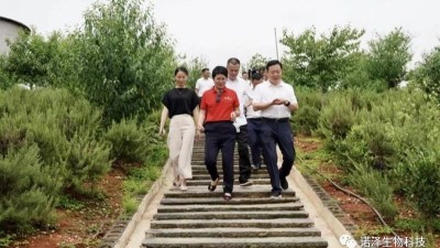做强做优特色产业 奏响乡村振兴“致富曲”