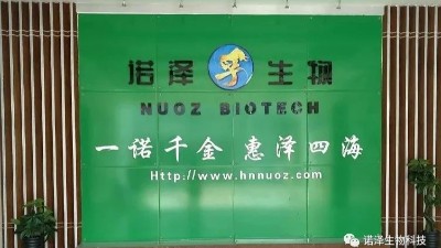 如何高效提取纯露？详解技巧全攻略