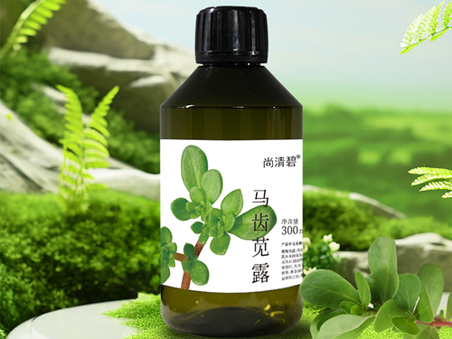 马齿苋露