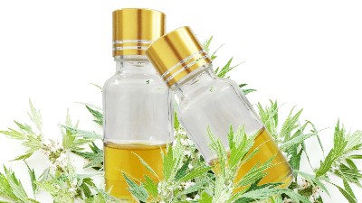 益母草精油对女性健康的好处有哪些?
