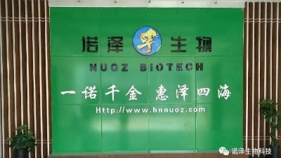 橙花纯露有什么功效与作用？