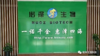 关于春季养生之法—保健茶