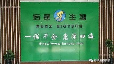 三伏天用哪种精油更养生？
