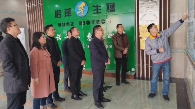 广东省连山县县委书记许崇砚一行莅临诺泽生物考察山苍子产业发展