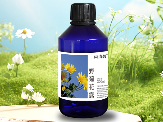 野菊花露