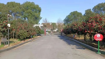 敬“慰”自己，永做“女神”