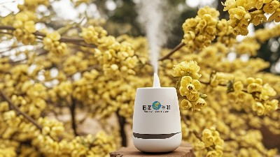 山苍子花的芳香之旅