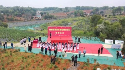 智慧引领科技创新，诚信利他共谋发展