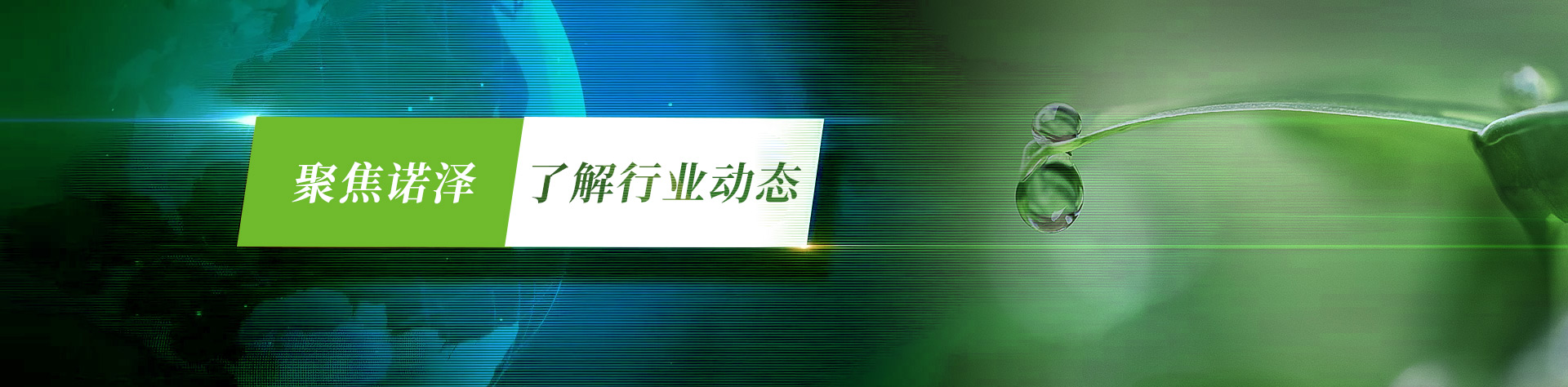 Company News